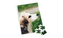 En savoir plus sur le puzzle photo